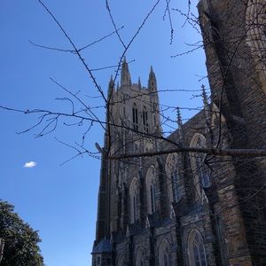 Meet your Posher, Forrest